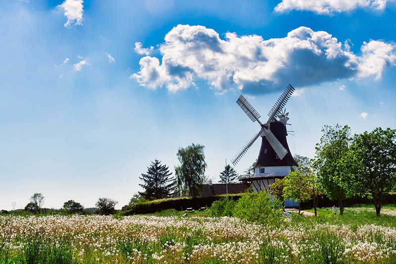 Landlig idyl på Fyn som danner perfekte rammer for teamevents for medarbejdere.